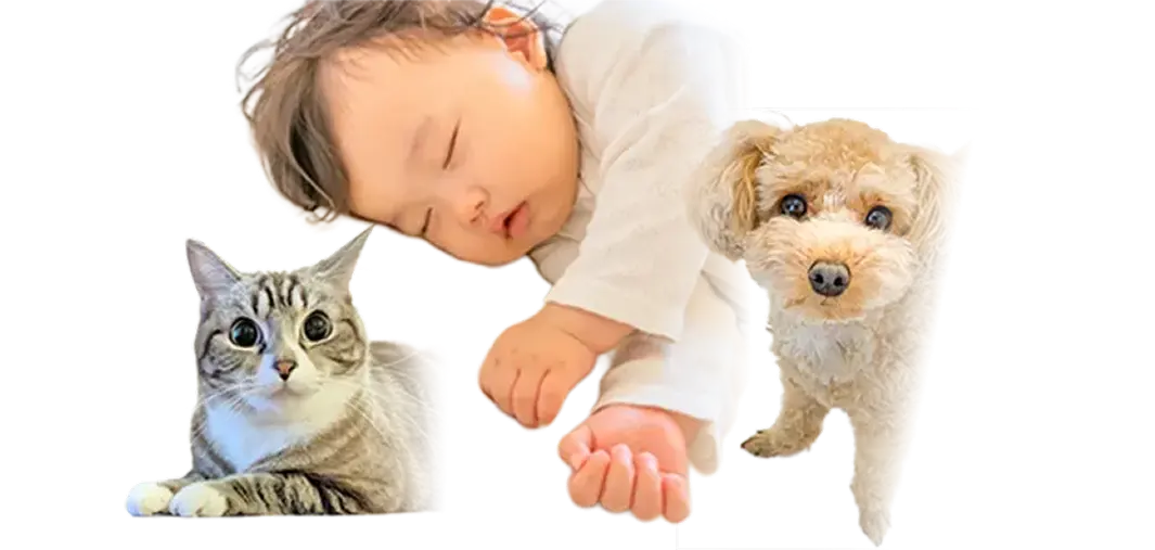 犬と猫、寝ている乳幼児の写真