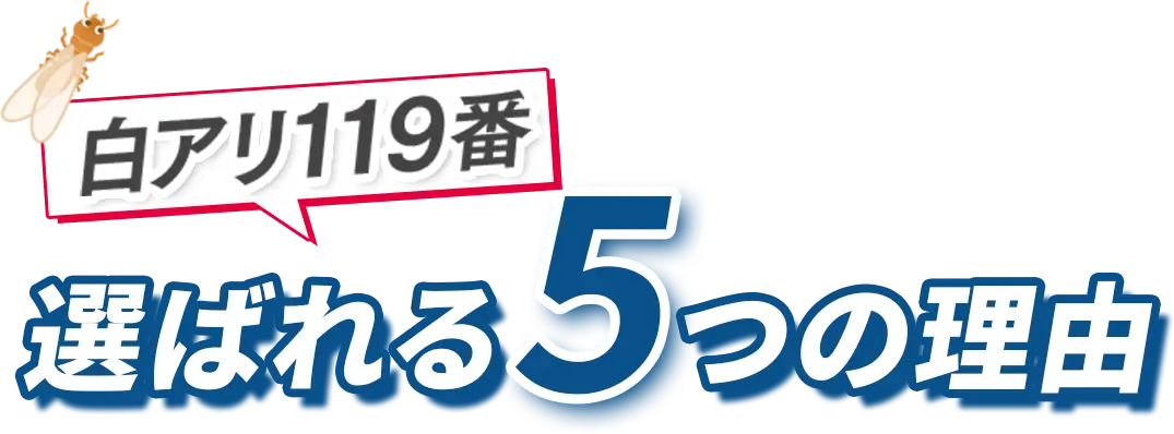 選ばれる5つの理由