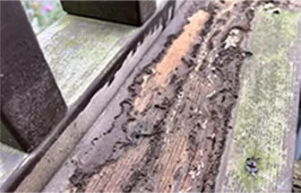 ボロボロになった木材